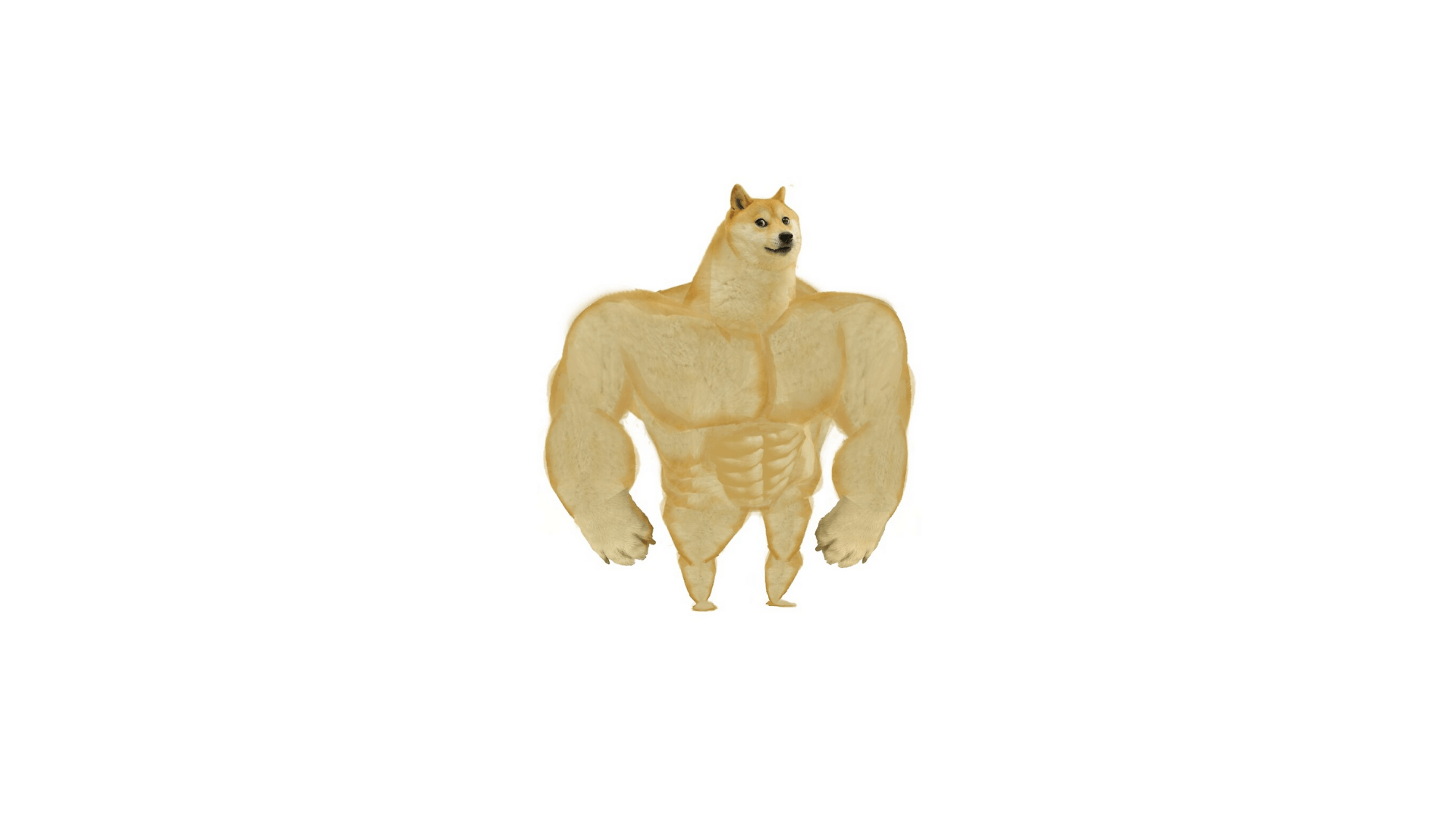 Perbedaan Buff Doge Coin Dengan Lainnya Berikut Ini