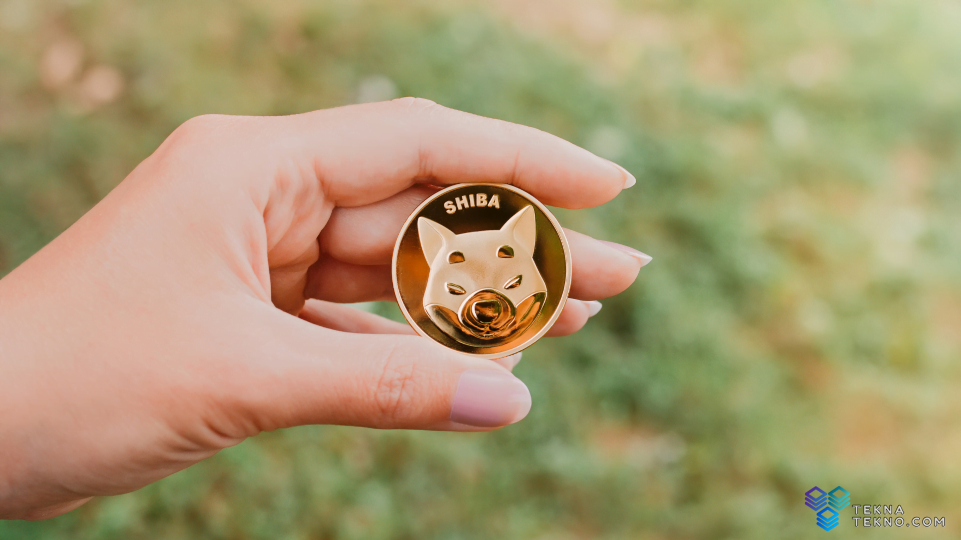 Bitcoin ditolak Pada $59K Karena Shiba Inu Meledak 27%