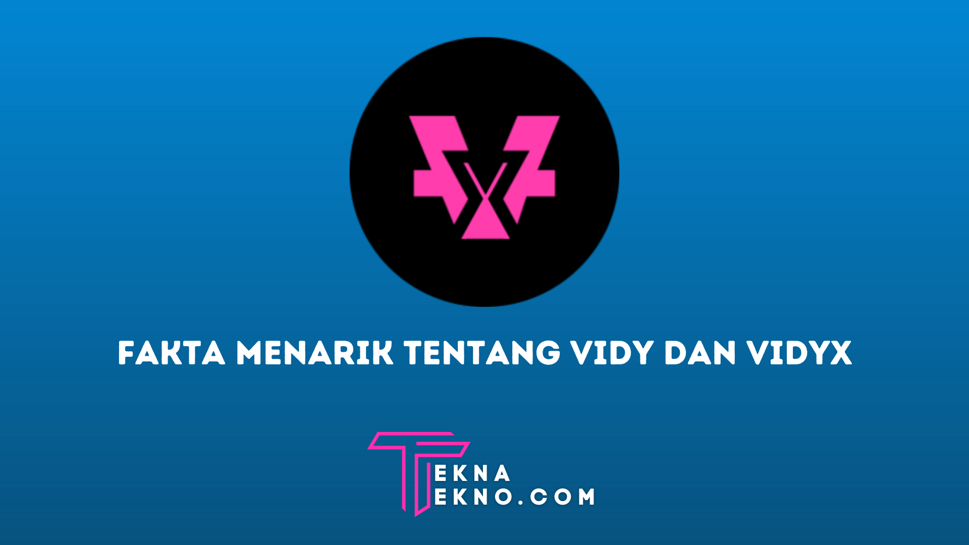 Fakta Menarik Tentang Vidy dan VidyX, Komunitas Crypto Terbesar di Indonesia