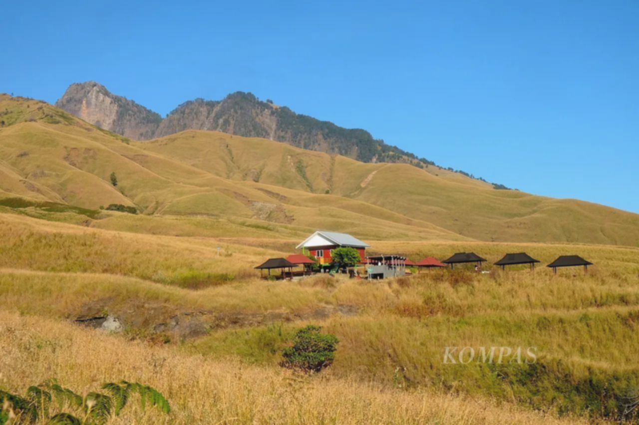 Rinjani: Pesona Memukau & Bahaya Mengintai, Pendaki Wajib Tahu!