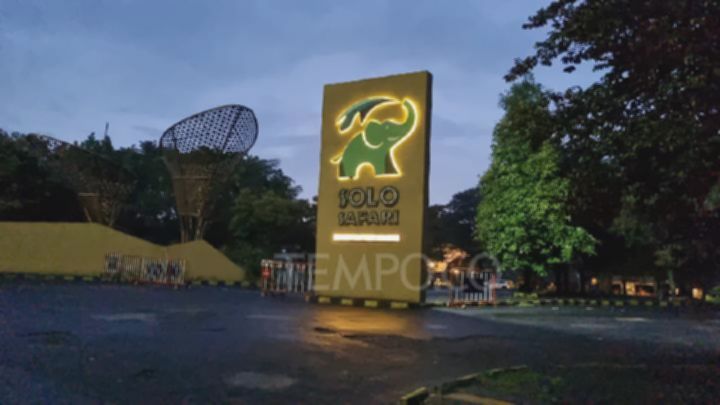 Liburan Sekolah? Anak Gratis Masuk Solo Safari! Cek Syaratnya!