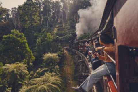 Victoria: Liburan Keluarga Impian, Petualangan Tak Terlupakan!