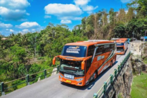 Sewa Bus Pariwisata? Ini 5 Tips Jitu Pilih yang Terbaik!