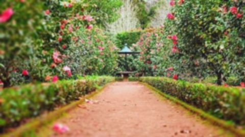 Bogor Gratisan: 7 Tempat Wisata Hemat, Bikin Rileks!