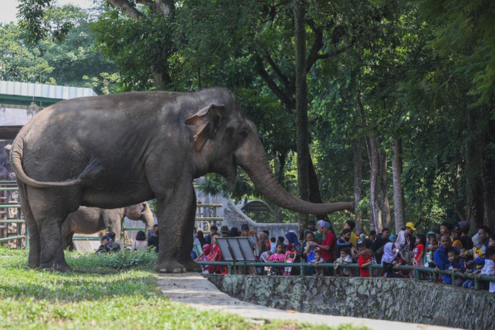 Libur Sekolah di Jakarta? Ini 10 Destinasi Wisata Terbaik!